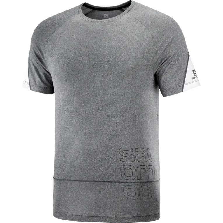 Camiseta Salomon Cross Run Estampados Corta Sleeve Hombre Grises | MX BHTD709